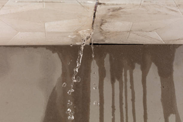 Professional Water Damage Repair technician working in Ridgeway, OH
